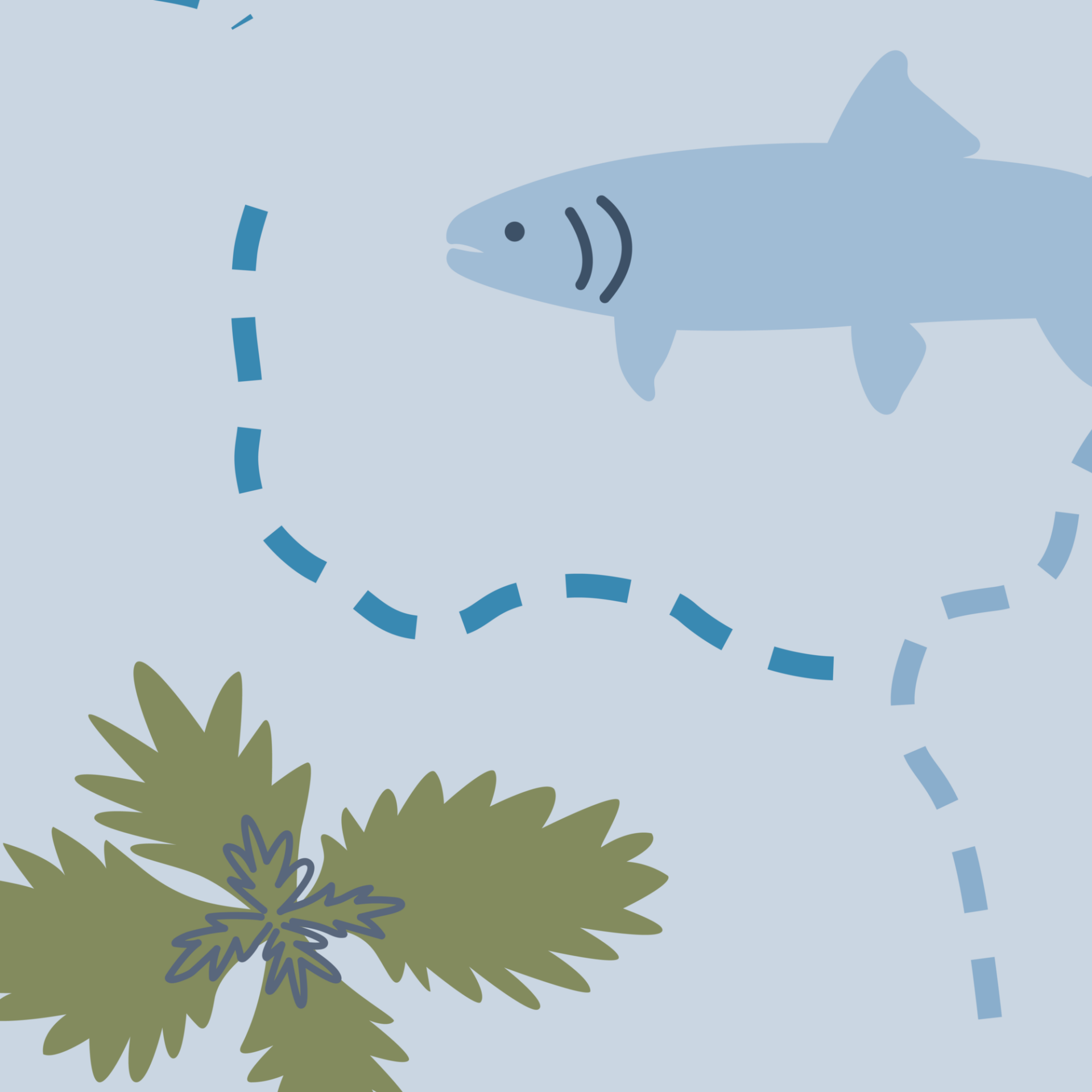 Seek The Creek Thumbnail