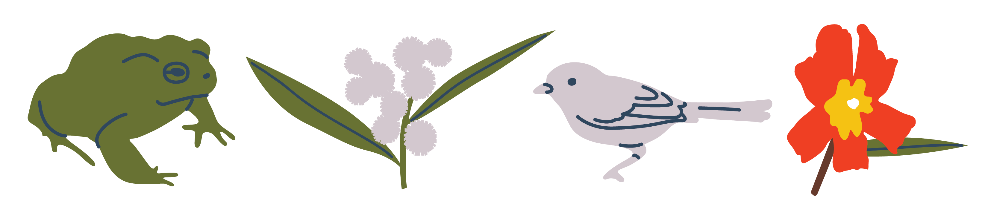 Illustrations of a frog, bird, and plants